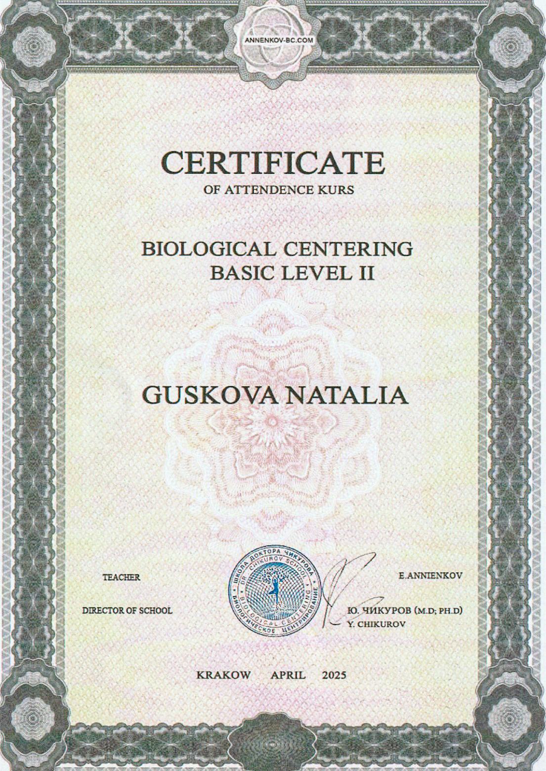 Сертификат 2